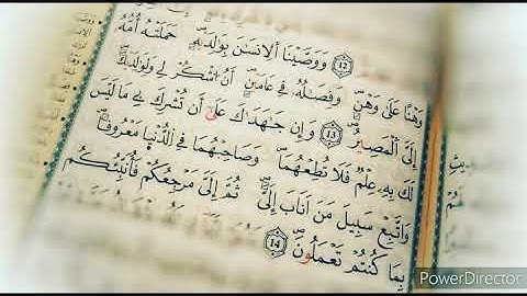 و وصينا الإنسان بوالديه...// سورة لقمان، عبد الله الخلف