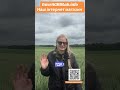Пшениця ротакс!#interagrolab #agrifuture #agriparadise