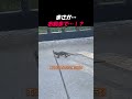 お前もか…?!