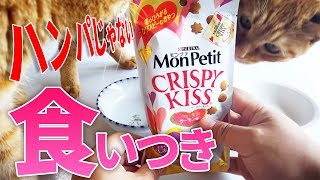 モンプチ クリスピーキッス とびきり贅沢サーモン味のオヤツを食べさせたら半端じゃない食いつきだった