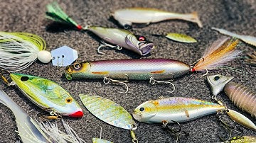 How To Catch Shallow Bass RIGHT NOW! Shad Spawn Fishing Tips!