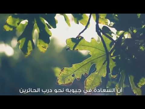 فجر اطل على الحياة ليخبر الكون الحزين