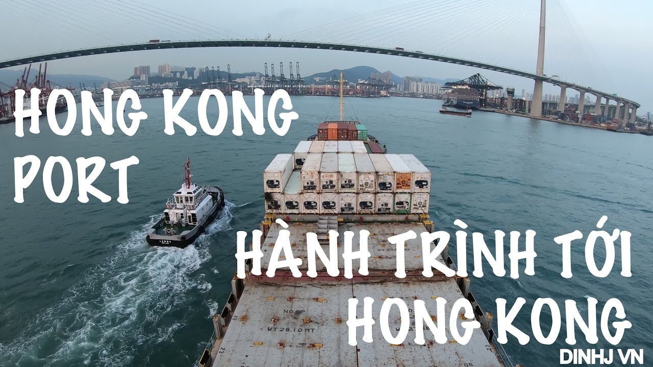 TÀU CONTAINER HÀNH TRÌNH TỚI HONG KONG | DINHJ VN
