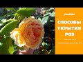 Способы укрытия роз