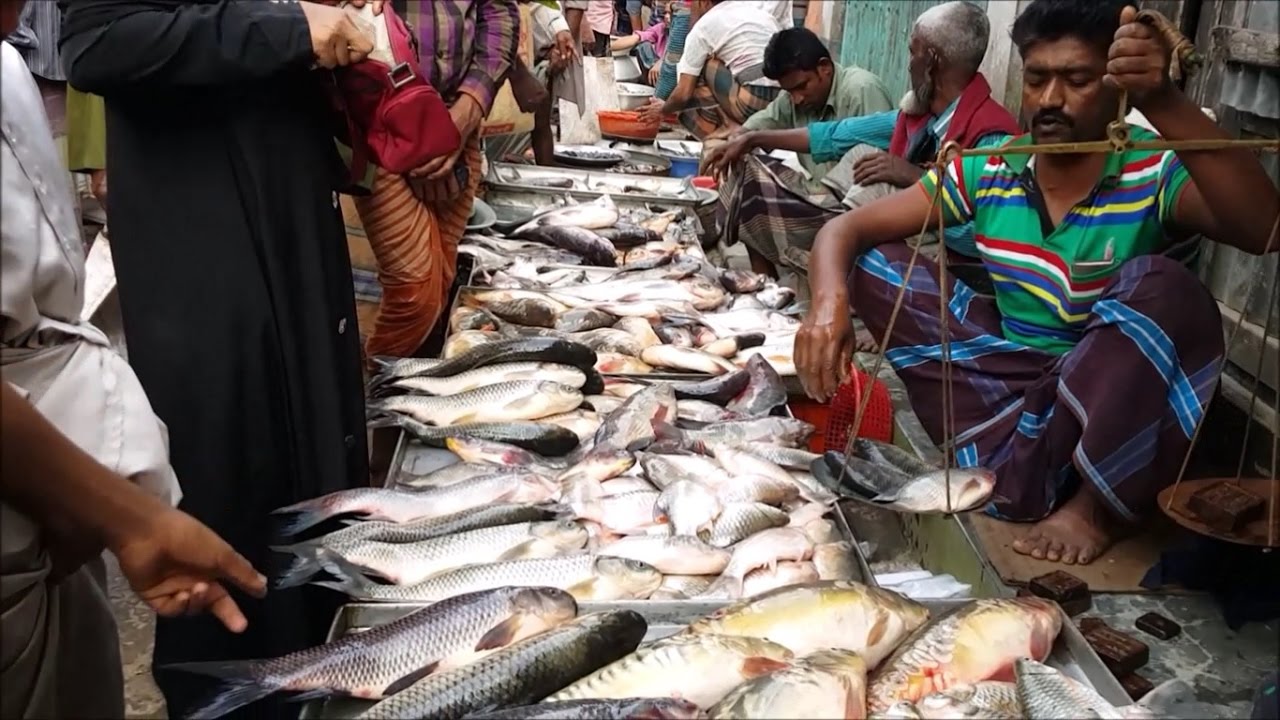 Incredible Village Fish Aroth Big Rural Village Fish Market