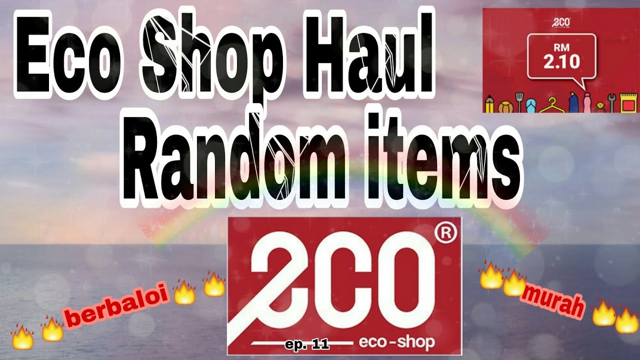 Eco Shop Haul| Random Items| Rm 2