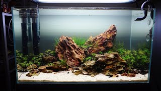 Step By Step Aquascape Time Lapse Aqueous Reflection 60Cm
