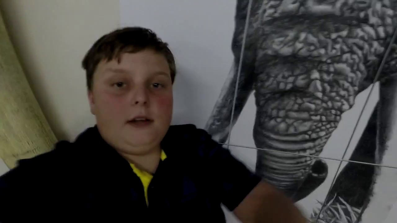 My Letaba Elephant museum tour!