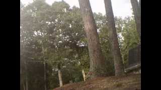 wallflip,flash gainer,sideflip
