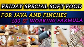 How to Make Soft Food for Finches | Friday Special Soft Food for Zebra Finches & Java Finches |