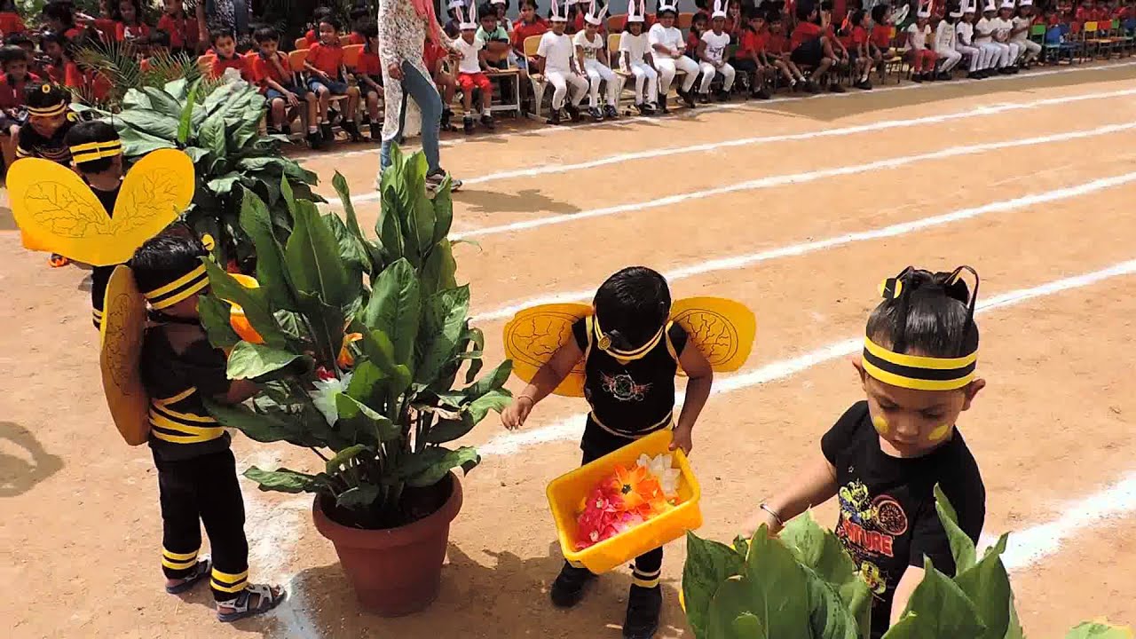 Pre Primary Sports Day Cbse Schools In Attapur Hyderabad By