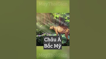 Tổ tiên nhỏ bé đã tiến hóa thành Tê Giác #kienthuc #maythoigian #tegiac