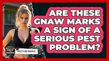 Are These Gnaw Marks A Sign Of A Serious Pest Problem? - Insects and Invaders
