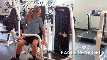 Cybex Eagle Rear Delt