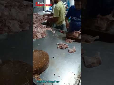 Video: Pemotong fillet: penerangan, jenis, aplikasi