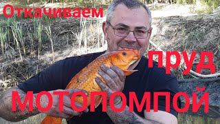 Откачиваем озеро мотопомпой