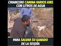 Criancero camina varios kms con litros de agua para salvar su ganado de la sequía