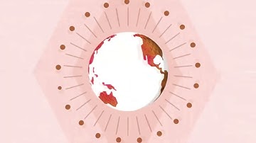 Latest Best Animation Logos in Lost Effect