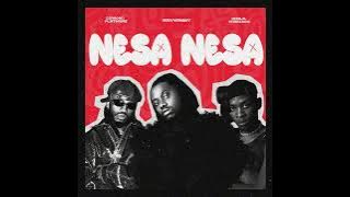Rayvanny feat Diamond Platnumz & Khalil Harrison - NESA NESA ( Music Audio) (Track No.2)