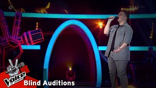 Θανάσης Αλεξόπουλος - «Χαμοπούλια» | The Voice of Greece | 11η Σεζόν