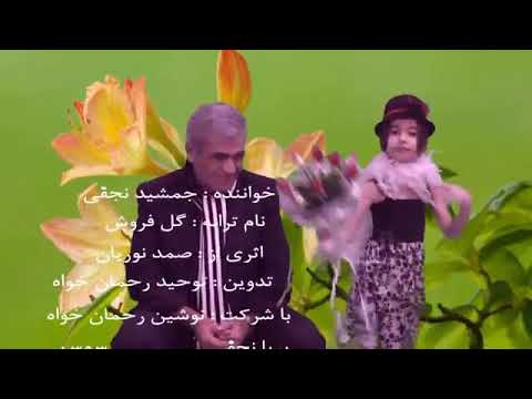 موزیک ویدئو دختر گل فروش با صدای جمشید نجفی با سپاس از توحید رحمان خواه