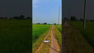 Forever Young - Rawi Beat Slow Remix