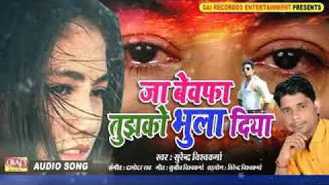 Ja Bewafa Tujhko Bhula Diya veer Singh - जा बेवफा तुझको भुला.mp4