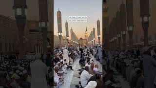 14th Ramadan Mubarak ramadan ramadanmubarak ramadan2024 ramzan ramadanspecial karbala