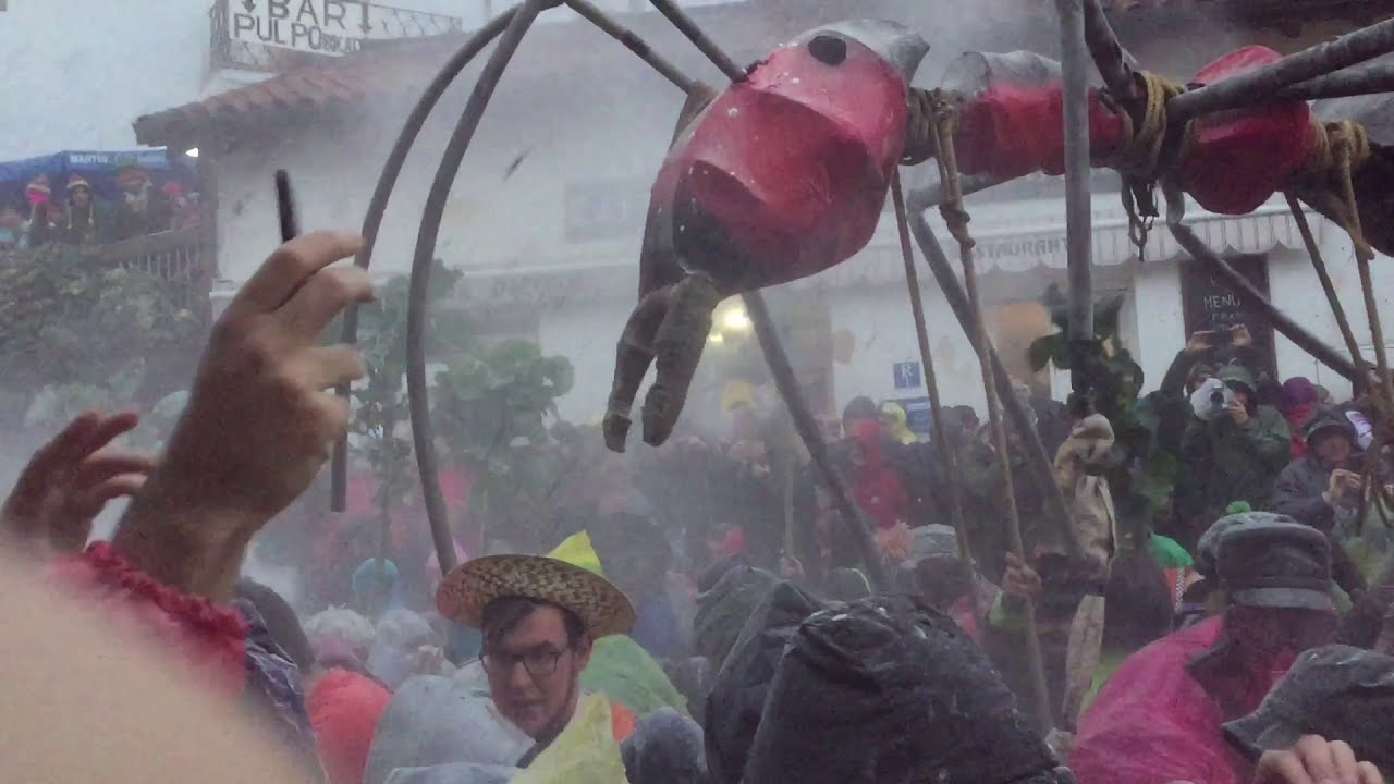 Unforgettable experience involving ants