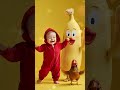 Cutest Chicken Banana Baby Dance Ever 脂El Baile De Bebテゥ Mテ S Tierno Con Pollo Y Plテ Tano Cutest Chicken Banana Baby Dance Ever 脂El Baile De Bebテゥ Mテ S Tierno Con Pollo Y Plテ Tano