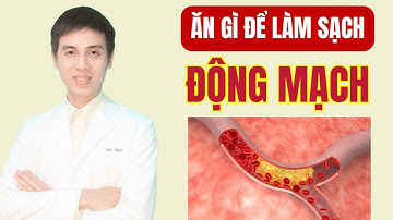 Ăn Gì Để Làm Sạch Động Mạch | Dược sĩ Đạt