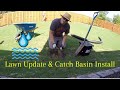 Lawn Update and Catch Basin Install