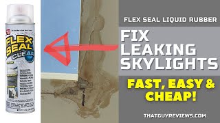 Fix Skylights Leak  Flex Seal Fast, Cheap and Easy! #DIY