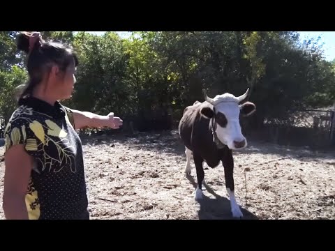 Муж, сын и