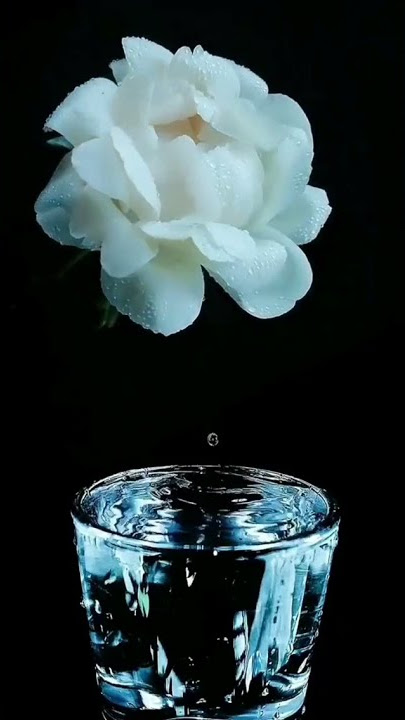 beoutifull flower massige tone amazing trending short video whatsapp status by rk shorts video