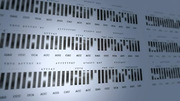 What Did the Genetic Analysis of Cangrande della Scala Reveal?