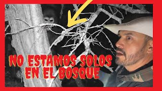 NO ESTAMOS SOLOS EN EL BOSQUE 