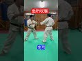 空手 急所攻撃 解説 Aikido Karate Martial 合気道 武道 空手 空手 急所攻撃 解説 Aikido Karate Martial 合気道 武道 空手
