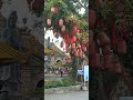 Nam Mô A Di Đà Phật chùa Đẹp nhất tại Tây Ninh Gò Kén,,