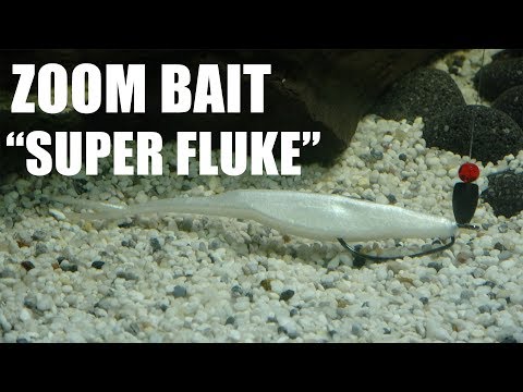 Zoom Bait: Super Fluke! Lure action on a Texas Rig! Underwater! Full HD 