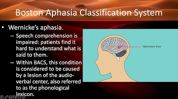Cognitive Psychology Chapter 11