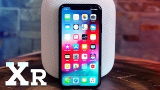 iPhone XR Review