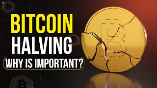 Bitcoin Halving Explained Why It Is So Important? Cryptela