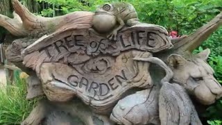 Exploring hidden nature trails around The Tree of Life at Disneys Animal Kingdom