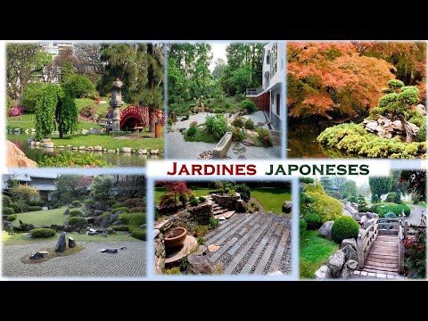 Video: Ideas para jardines asimétricos: Cómo hacer un jardín asimétrico