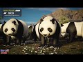 Rare and Vanishing: Animals That May Go Extinct Soon" population comparison | Endangered species