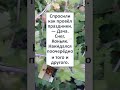 😂😂#юмор #смешновидео #смешнойшортс #СПРОСИЛИ, как ПРОВЁЛ ПРАЗДНИКИ...😁🤴🏻😮