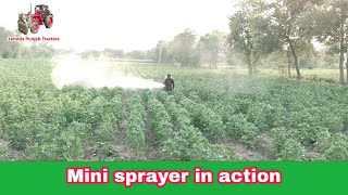 powerful sprayer | Peter engine spray machine | power show of mini sprayer