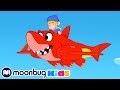 Morphle en Español | tiburones robot | Caricaturas para Niños