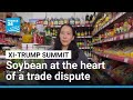 Xi-Trump summit: The humble soybean at the heart of a trade dispute between the US and China